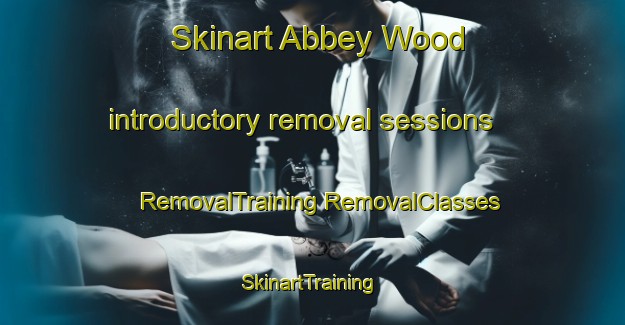 Skinart Abbey Wood introductory removal sessions | #RemovalTraining #RemovalClasses #SkinartTraining-United Kingdom