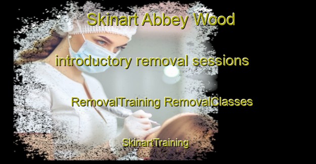 Skinart Abbey Wood introductory removal sessions | #RemovalTraining #RemovalClasses #SkinartTraining-United Kingdom