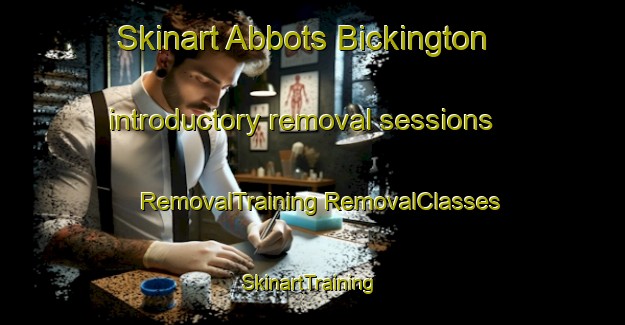 Skinart Abbots Bickington introductory removal sessions | #RemovalTraining #RemovalClasses #SkinartTraining-United Kingdom