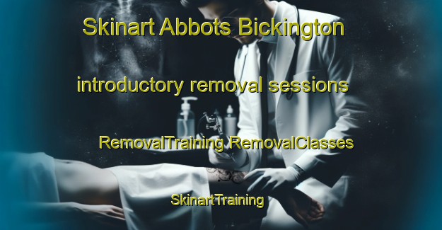 Skinart Abbots Bickington introductory removal sessions | #RemovalTraining #RemovalClasses #SkinartTraining-United Kingdom