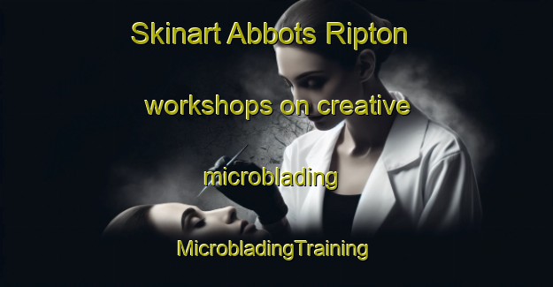 Skinart Abbots Ripton workshops on creative microblading | #MicrobladingTraining #MicrobladingClasses #SkinartTraining-United Kingdom