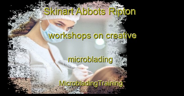 Skinart Abbots Ripton workshops on creative microblading | #MicrobladingTraining #MicrobladingClasses #SkinartTraining-United Kingdom