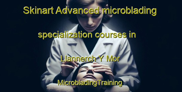 Skinart Advanced microblading specialization courses in Llannerch Y Mor | #MicrobladingTraining #MicrobladingClasses #SkinartTraining-United Kingdom