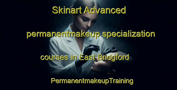 Skinart Advanced permanentmakeup specialization courses in East Bridgford | #PermanentmakeupTraining #PermanentmakeupClasses #SkinartTraining-United Kingdom