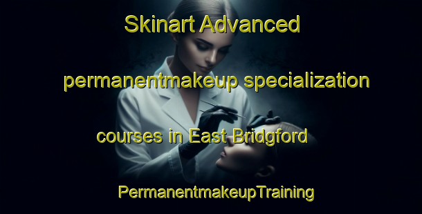 Skinart Advanced permanentmakeup specialization courses in East Bridgford | PermanentmakeupTraining | PermanentmakeupClasses | SkinartTraining-United Kingdom