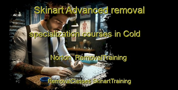 Skinart Advanced removal specialization courses in Cold Norton | #RemovalTraining #RemovalClasses #SkinartTraining-United Kingdom