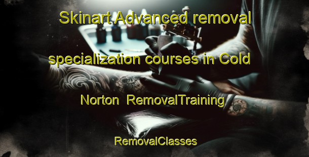 Skinart Advanced removal specialization courses in Cold Norton | RemovalTraining | RemovalClasses | SkinartTraining-United Kingdom