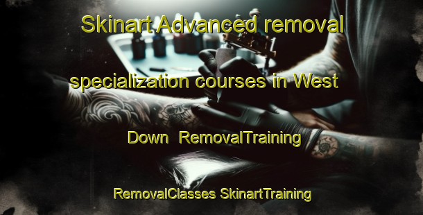 Skinart Advanced removal specialization courses in West Down | #RemovalTraining #RemovalClasses #SkinartTraining-United Kingdom