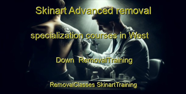 Skinart Advanced removal specialization courses in West Down | #RemovalTraining #RemovalClasses #SkinartTraining-United Kingdom