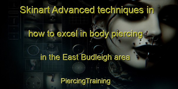 Skinart Advanced techniques in how to excel in body piercing in the East Budleigh area | PiercingTraining | PiercingClasses | SkinartTraining-United Kingdom