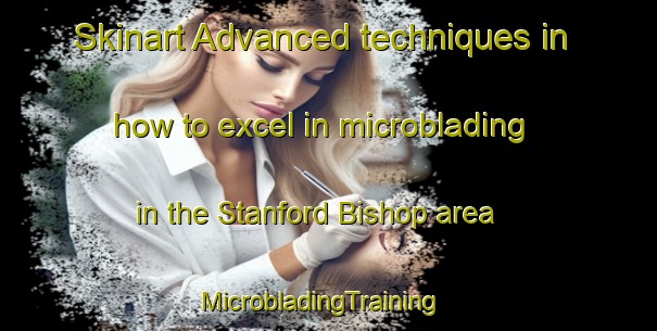 Skinart Advanced techniques in how to excel in microblading in the Stanford Bishop area | MicrobladingTraining | MicrobladingClasses | SkinartTraining-United Kingdom