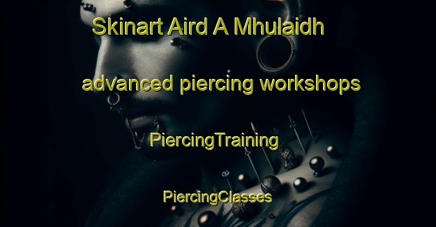 Skinart Aird A Mhulaidh advanced piercing workshops | #PiercingTraining #PiercingClasses #SkinartTraining-United Kingdom