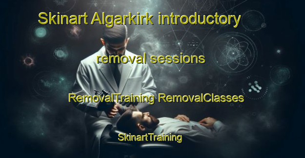 Skinart Algarkirk introductory removal sessions | #RemovalTraining #RemovalClasses #SkinartTraining-United Kingdom