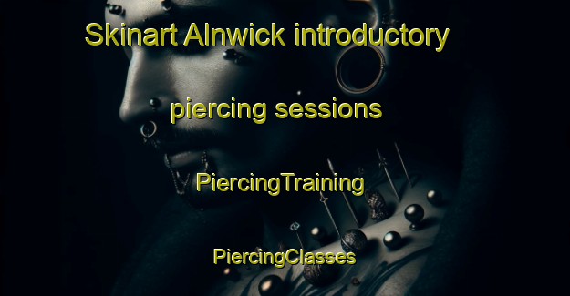 Skinart Alnwick introductory piercing sessions | #PiercingTraining #PiercingClasses #SkinartTraining-United Kingdom