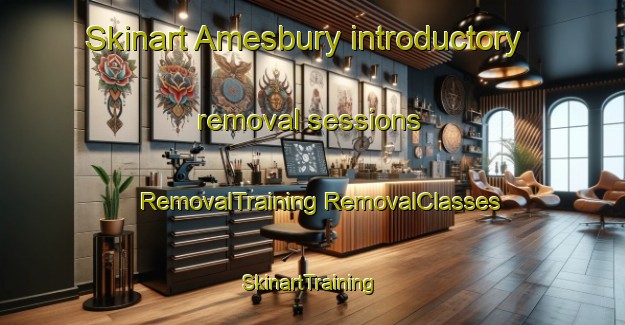 Skinart Amesbury introductory removal sessions | #RemovalTraining #RemovalClasses #SkinartTraining-United Kingdom