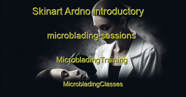 Skinart Ardno introductory microblading sessions | #MicrobladingTraining #MicrobladingClasses #SkinartTraining-United Kingdom