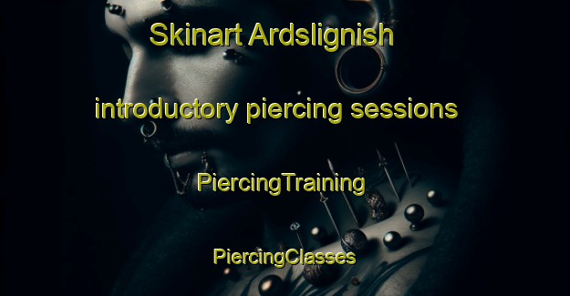 Skinart Ardslignish introductory piercing sessions | #PiercingTraining #PiercingClasses #SkinartTraining-United Kingdom