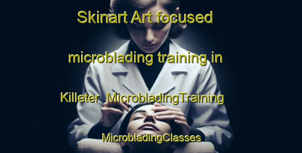 Skinart Art-focused microblading training in Killeter | #MicrobladingTraining #MicrobladingClasses #SkinartTraining-United Kingdom