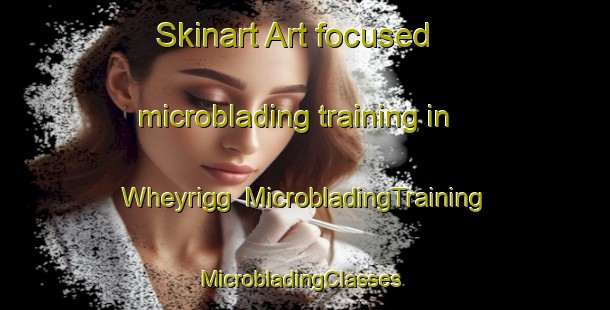 Skinart Art-focused microblading training in Wheyrigg | MicrobladingTraining | MicrobladingClasses | SkinartTraining-United Kingdom
