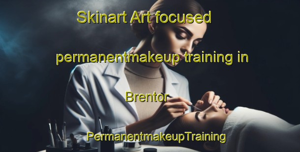 Skinart Art-focused permanentmakeup training in Brentor | #PermanentmakeupTraining #PermanentmakeupClasses #SkinartTraining-United Kingdom