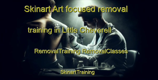 Skinart Art-focused removal training in Little Cheverell | #RemovalTraining #RemovalClasses #SkinartTraining-United Kingdom