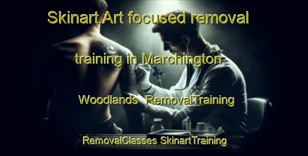 Skinart Art-focused removal training in Marchington Woodlands | #RemovalTraining #RemovalClasses #SkinartTraining-United Kingdom