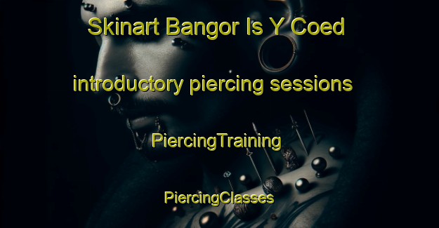 Skinart Bangor Is Y Coed introductory piercing sessions | #PiercingTraining #PiercingClasses #SkinartTraining-United Kingdom