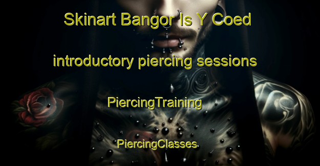 Skinart Bangor Is Y Coed introductory piercing sessions | PiercingTraining | PiercingClasses | SkinartTraining-United Kingdom