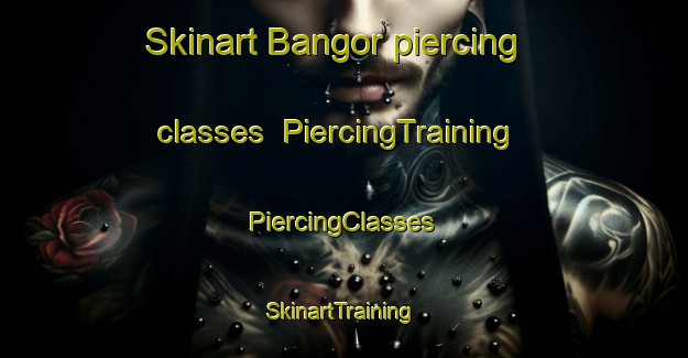 Skinart Bangor piercing classes | #PiercingTraining #PiercingClasses #SkinartTraining-United Kingdom