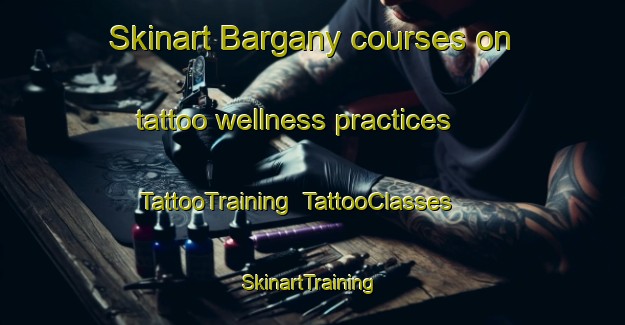 Skinart Bargany courses on tattoo wellness practices | TattooTraining | TattooClasses | SkinartTraining-United Kingdom