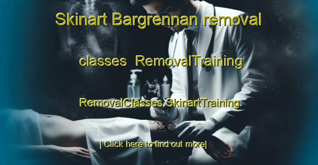 Skinart Bargrennan removal classes | #RemovalTraining #RemovalClasses #SkinartTraining-United Kingdom