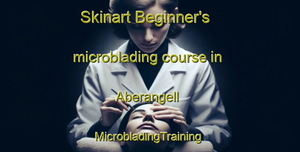 Skinart Beginner's microblading course in Aberangell | #MicrobladingTraining #MicrobladingClasses #SkinartTraining-United Kingdom