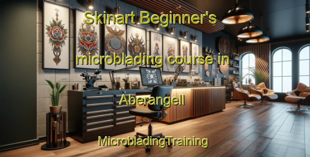 Skinart Beginner's microblading course in Aberangell | #MicrobladingTraining #MicrobladingClasses #SkinartTraining-United Kingdom