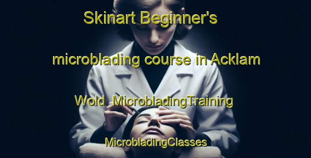 Skinart Beginner's microblading course in Acklam Wold | #MicrobladingTraining #MicrobladingClasses #SkinartTraining-United Kingdom