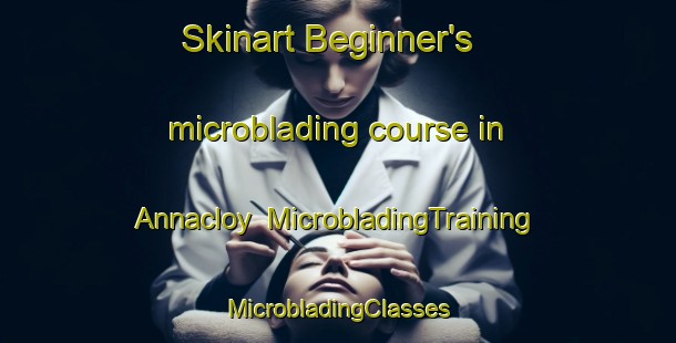 Skinart Beginner's microblading course in Annacloy | #MicrobladingTraining #MicrobladingClasses #SkinartTraining-United Kingdom