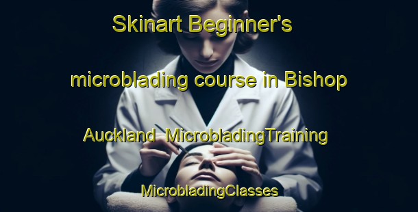 Skinart Beginner's microblading course in Bishop Auckland | #MicrobladingTraining #MicrobladingClasses #SkinartTraining-United Kingdom