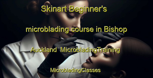 Skinart Beginner's microblading course in Bishop Auckland | MicrobladingTraining | MicrobladingClasses | SkinartTraining-United Kingdom