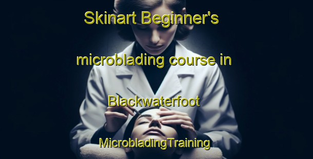 Skinart Beginner's microblading course in Blackwaterfoot | #MicrobladingTraining #MicrobladingClasses #SkinartTraining-United Kingdom