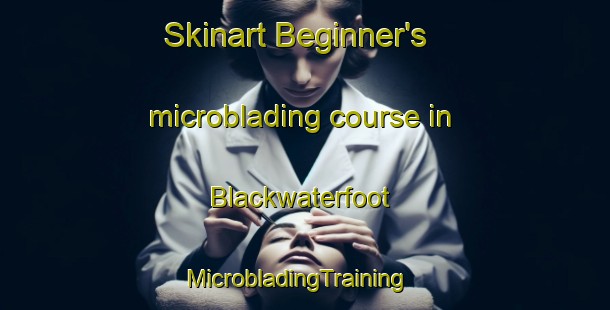 Skinart Beginner's microblading course in Blackwaterfoot | MicrobladingTraining | MicrobladingClasses | SkinartTraining-United Kingdom