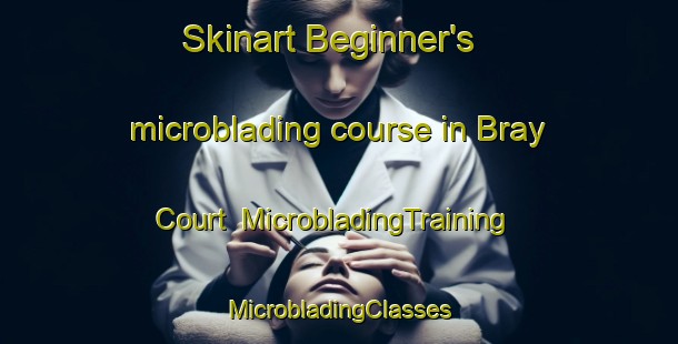 Skinart Beginner's microblading course in Bray Court | #MicrobladingTraining #MicrobladingClasses #SkinartTraining-United Kingdom