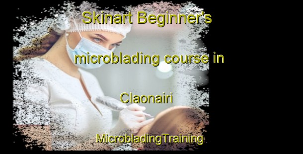 Skinart Beginner's microblading course in Claonairi | #MicrobladingTraining #MicrobladingClasses #SkinartTraining-United Kingdom