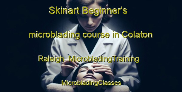 Skinart Beginner's microblading course in Colaton Raleigh | #MicrobladingTraining #MicrobladingClasses #SkinartTraining-United Kingdom