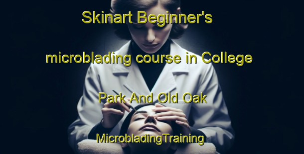 Skinart Beginner's microblading course in College Park And Old Oak | #MicrobladingTraining #MicrobladingClasses #SkinartTraining-United Kingdom