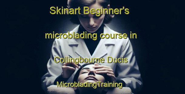 Skinart Beginner's microblading course in Collingbourne Ducis | MicrobladingTraining | MicrobladingClasses | SkinartTraining-United Kingdom