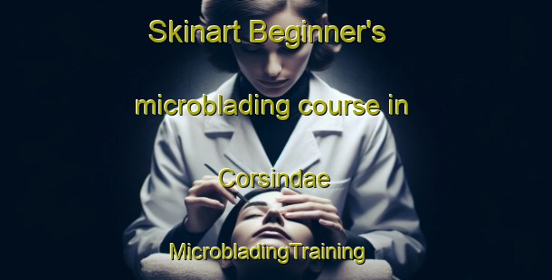 Skinart Beginner's microblading course in Corsindae | MicrobladingTraining | MicrobladingClasses | SkinartTraining-United Kingdom