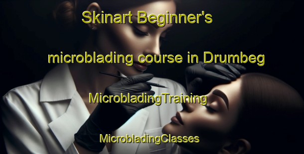 Skinart Beginner's microblading course in Drumbeg | MicrobladingTraining | MicrobladingClasses | SkinartTraining-United Kingdom
