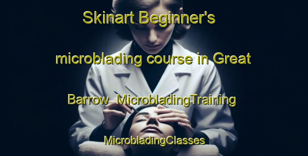 Skinart Beginner's microblading course in Great Barrow | #MicrobladingTraining #MicrobladingClasses #SkinartTraining-United Kingdom