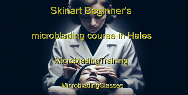 Skinart Beginner's microblading course in Hales | MicrobladingTraining | MicrobladingClasses | SkinartTraining-United Kingdom