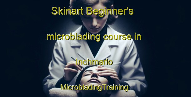 Skinart Beginner's microblading course in Inchmarlo | #MicrobladingTraining #MicrobladingClasses #SkinartTraining-United Kingdom