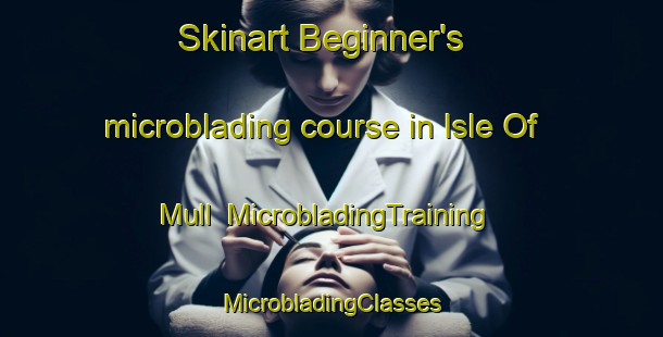 Skinart Beginner's microblading course in Isle Of Mull | #MicrobladingTraining #MicrobladingClasses #SkinartTraining-United Kingdom